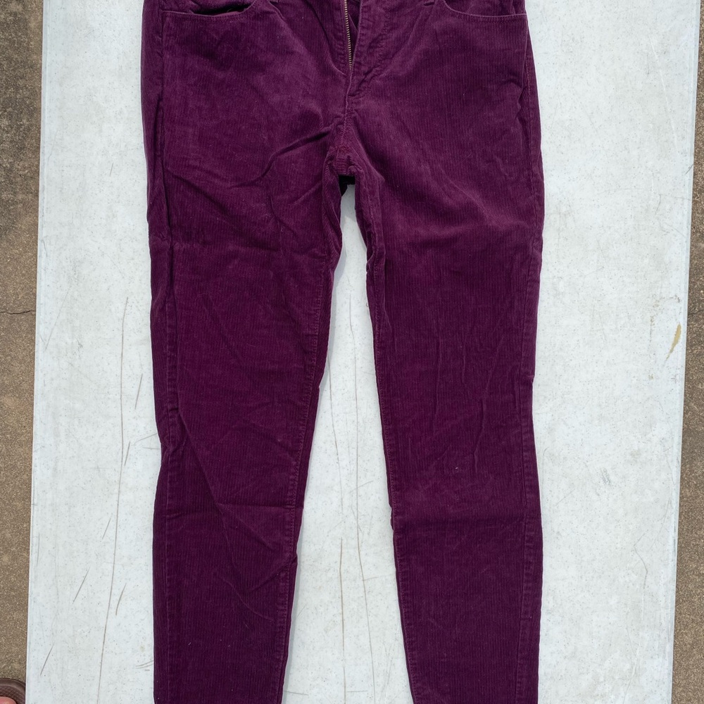 Purple Corduroy Pants